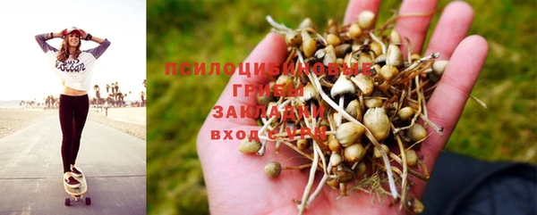 мескалин Абаза