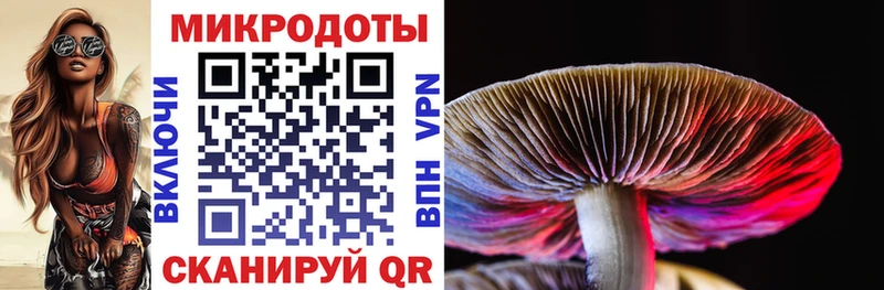 Псилоцибиновые грибы Magic Shrooms Княгинино