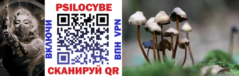 МЕГА ONION  Княгинино  Псилоцибиновые грибы Psilocybe 
